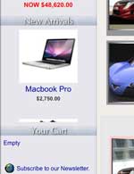 ecommerce web site solution to promote your new products.