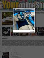 ecommerce web site solution with multiple enlarged view product images.