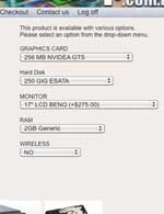 ecommerce web site solution with product options.