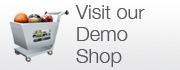 visit ecommerce website design demonstration