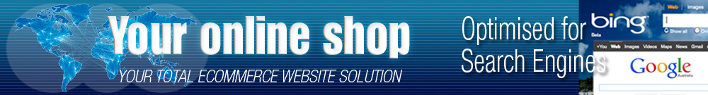 search engine friendly ecommerce website design