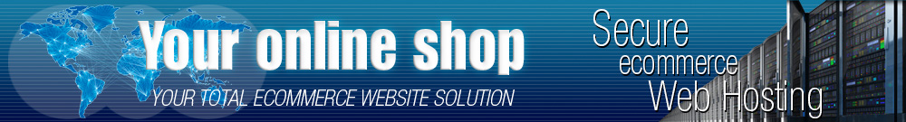 secure ecommerce web hosting